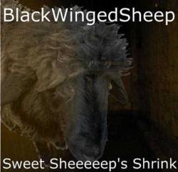 Blackwingedsheep : Sweet Sheeeeep's Shrink